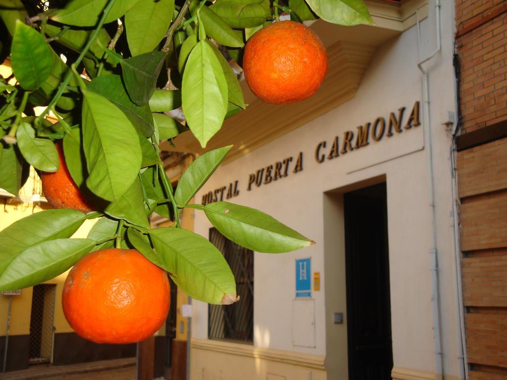 Hostal Puerta Carmona Seville Ngoại thất bức ảnh